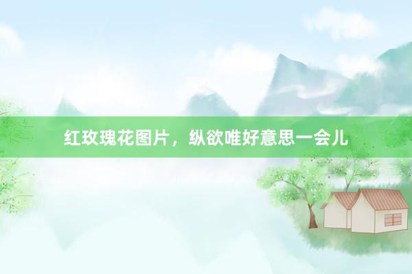 红玫瑰花图片，纵欲唯好意思一会儿