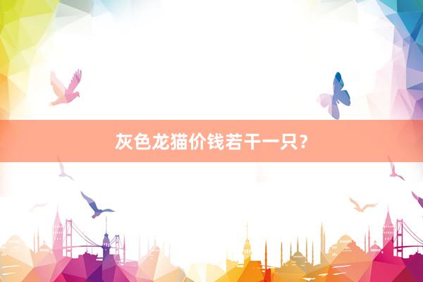 灰色龙猫价钱若干一只？