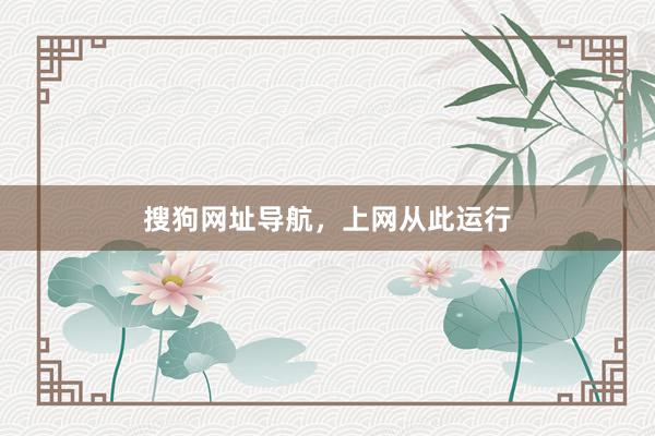 搜狗网址导航，上网从此运行